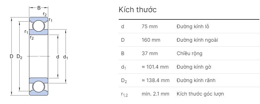 thong so ky thuat vong bi 6315